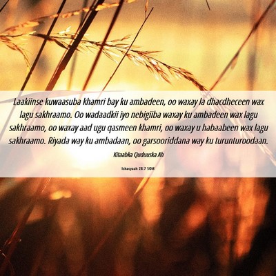Picture 06 - Ishacyaah 28:7 SOM - Laakiinse kuwaasuba khamri bay ku ambadeen, oo - Bible Verse Picture
