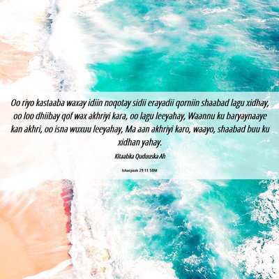 Picture 06 - Ishacyaah 29:11 SOM - Oo riyo kastaaba waxay idiin noqotay sidii - Bible Verse Picture