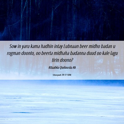Picture 06 - Ishacyaah 29:17 SOM - Sow in yaru kama hadhin intay Lubnaan beer midho - Bible Verse Picture