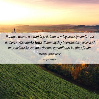 Picture 06 - Ishacyaah 3:14 SOM - Rabbigu wuxuu dacwad la geli doonaa odayaasha iyo - Bible Verse Picture