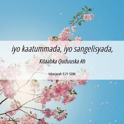 Picture 06 - Ishacyaah 3:21 SOM - iyo kaatummada, iyo - Bible Verse Picture