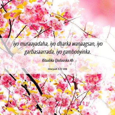 Picture 06 - Ishacyaah 3:23 SOM - iyo muraayadaha, iyo dharka wanaagsan, iyo - Bible Verse Picture