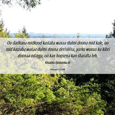 Picture 06 - Ishacyaah 3:5 SOM - Oo dadkana midkood kastaba waxaa dulmi doona mid - Bible Verse Picture