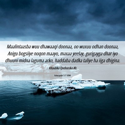 Picture 06 - Ishacyaah 3:7 SOM - Maalintaasba wuu dhawaaqi doonaa, oo wuxuu odhan - Bible Verse Picture