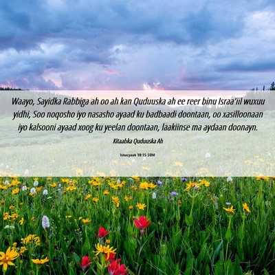 Picture 06 - Ishacyaah 30:15 SOM - Waayo, Sayidka Rabbiga ah oo ah kan Quduuska ah - Bible Verse Picture