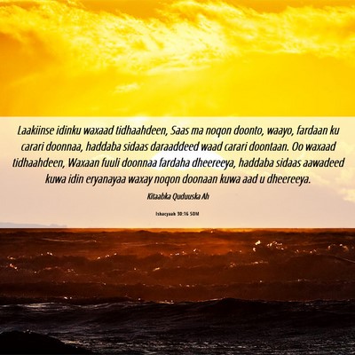 Picture 06 - Ishacyaah 30:16 SOM - Laakiinse idinku waxaad tidhaahdeen, Saas ma - Bible Verse Picture