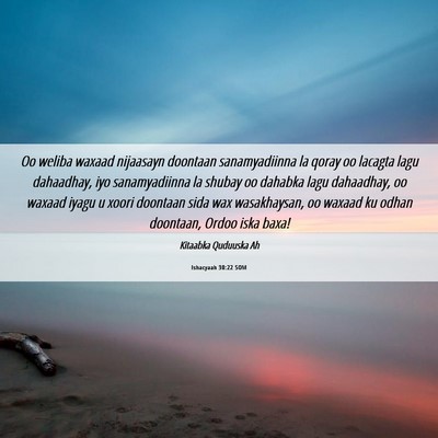 Picture 06 - Ishacyaah 30:22 SOM - Oo weliba waxaad nijaasayn doontaan sanamyadiinna - Bible Verse Picture