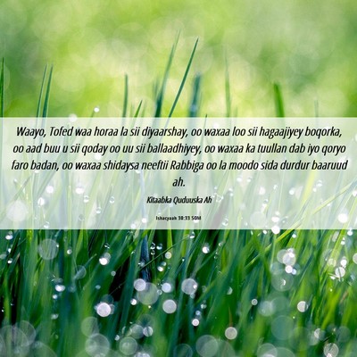 Picture 06 - Ishacyaah 30:33 SOM - Waayo, Tofed waa horaa la sii diyaarshay, oo - Bible Verse Picture