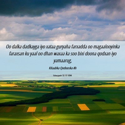 Picture 06 - Ishacyaah 32:13 SOM - Oo dalka dadkayga iyo xataa guryaha farxadda oo - Bible Verse Picture