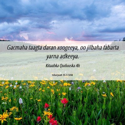 Picture 06 - Ishacyaah 35:3 SOM - Gacmaha taagta daran xoogeeya, oo jilbaha tabarta - Bible Verse Picture