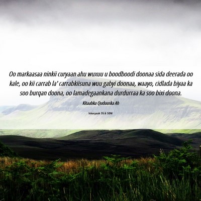 Picture 06 - Ishacyaah 35:6 SOM - Oo markaasaa ninkii curyaan ahu wuxuu u boodboodi - Bible Verse Picture