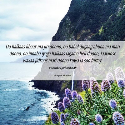 Picture 06 - Ishacyaah 35:9 SOM - Oo halkaas libaax ma jiri doono, oo bahal dugaag - Bible Verse Picture