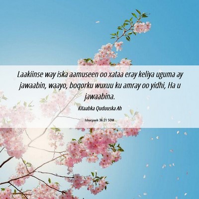Picture 06 - Ishacyaah 36:21 SOM - Laakiinse way iska aamuseen oo xataa eray keliya - Bible Verse Picture