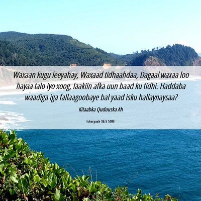 Picture 06 - Ishacyaah 36:5 SOM - Waxaan kugu leeyahay, Waxaad tidhaahdaa, Dagaal - Bible Verse Picture