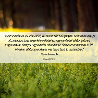Picture 06 - Ishacyaah 36:7 SOM - Laakiinse haddaad igu tidhaahdid, Waxaannu isku - Bible Verse Picture