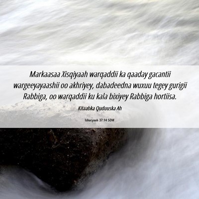 Picture 06 - Ishacyaah 37:14 SOM - Markaasaa Xisqiyaah warqaddii ka qaaday gacantii - Bible Verse Picture