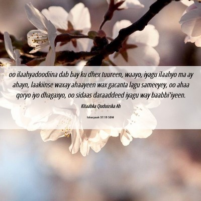 Picture 06 - Ishacyaah 37:19 SOM - oo ilaahyadoodiina dab bay ku dhex tuureen, - Bible Verse Picture