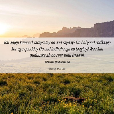 Picture 06 - Ishacyaah 37:23 SOM - Bal adigu kumaad yaraysatay oo aad cayday? Oo bal - Bible Verse Picture