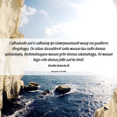 Picture 06 - Ishacyaah 37:29 SOM - Cadhadaadii aad ii cadhootay Iyo - Bible Verse Picture