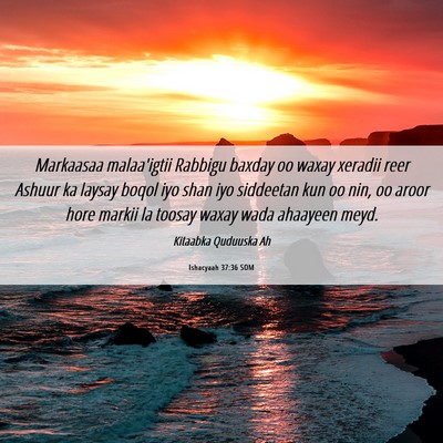 Picture 06 - Ishacyaah 37:36 SOM - Markaasaa malaa'igtii Rabbigu baxday oo waxay - Bible Verse Picture