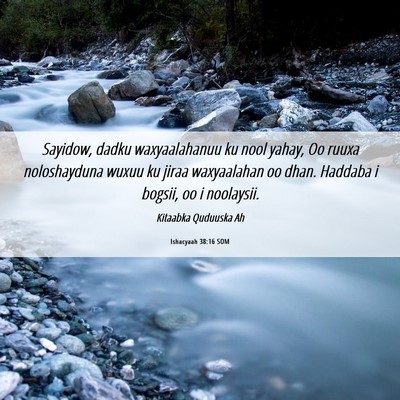 Picture 06 - Ishacyaah 38:16 SOM - Sayidow, dadku waxyaalahanuu ku nool yahay, Oo - Bible Verse Picture