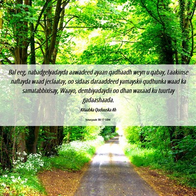Picture 06 - Ishacyaah 38:17 SOM - Bal eeg, nabadgelyadayda aawadeed ayaan qadhaadh - Bible Verse Picture