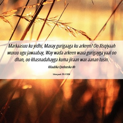 Picture 06 - Ishacyaah 39:4 SOM - Markaasuu ku yidhi, Maxay gurigaaga ku arkeen? Oo - Bible Verse Picture
