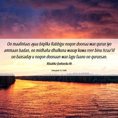 Picture 06 - Ishacyaah 4:2 SOM - Oo maalintaas ayaa biqilka Rabbigu noqon doonaa - Bible Verse Picture