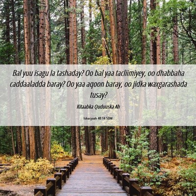 Picture 06 - Ishacyaah 40:14 SOM - Bal yuu isagu la tashaday? Oo bal yaa - Bible Verse Picture