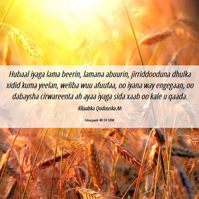 Picture 06 - Ishacyaah 40:24 SOM - Hubaal iyaga lama beerin, lamana abuurin, - Bible Verse Picture