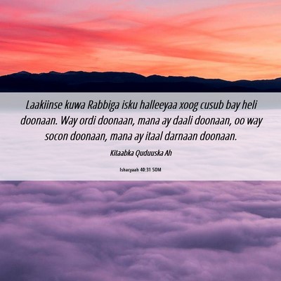 Picture 06 - Ishacyaah 40:31 SOM - Laakiinse kuwa Rabbiga isku halleeyaa xoog cusub - Bible Verse Picture