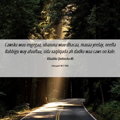 Picture 06 - Ishacyaah 40:7 SOM - Cawsku wuu engegaa, ubaxuna wuu dhacaa, maxaa - Bible Verse Picture