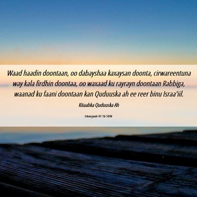 Picture 06 - Ishacyaah 41:16 SOM - Waad haadin doontaan, oo dabayshaa kaxaysan - Bible Verse Picture