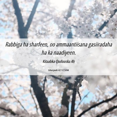 Picture 06 - Ishacyaah 42:12 SOM - Rabbiga ha sharfeen, oo ammaantiisana gasiiradaha - Bible Verse Picture