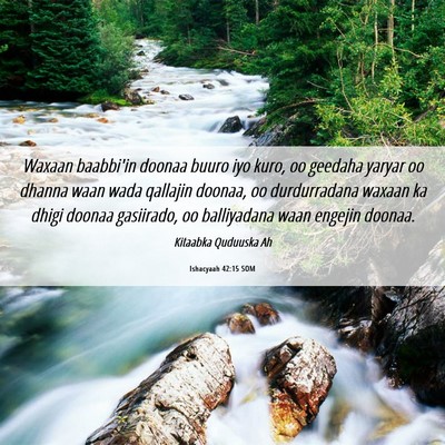 Picture 06 - Ishacyaah 42:15 SOM - Waxaan baabbi'in doonaa buuro iyo kuro, oo - Bible Verse Picture