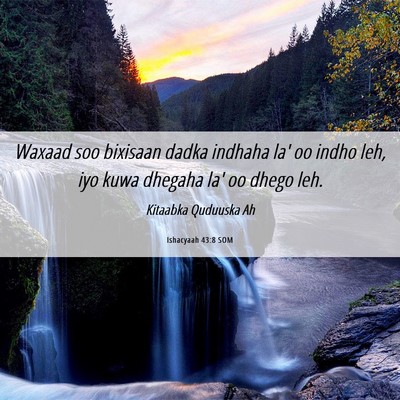 Picture 06 - Ishacyaah 43:8 SOM - Waxaad soo bixisaan dadka indhaha la' oo indho - Bible Verse Picture