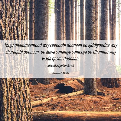 Picture 06 - Ishacyaah 45:16 SOM - Iyagu dhammaantood way ceeboobi doonaan oo - Bible Verse Picture
