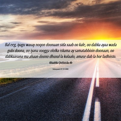 Picture 06 - Ishacyaah 47:14 SOM - Bal eeg, iyagu waxay noqon doonaan sida xaab oo - Bible Verse Picture