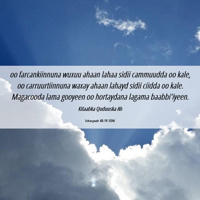 Picture 06 - Ishacyaah 48:19 SOM - oo farcankiinnuna wuxuu ahaan lahaa sidii - Bible Verse Picture
