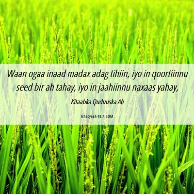 Picture 06 - Ishacyaah 48:4 SOM - Waan ogaa inaad madax adag tihiin, iyo in - Bible Verse Picture