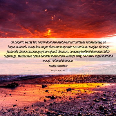 Picture 06 - Ishacyaah 49:23 SOM - Oo boqorro waxay kuu noqon doonaan aabbayaal - Bible Verse Picture