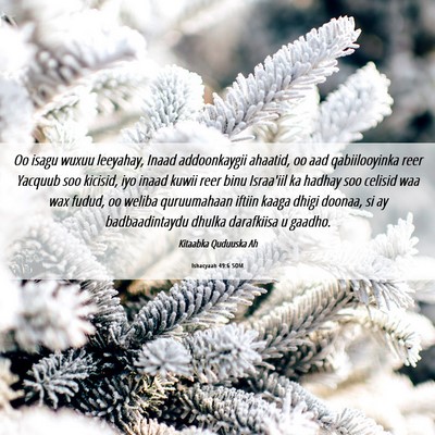 Picture 06 - Ishacyaah 49:6 SOM - Oo isagu wuxuu leeyahay, Inaad addoonkaygii - Bible Verse Picture