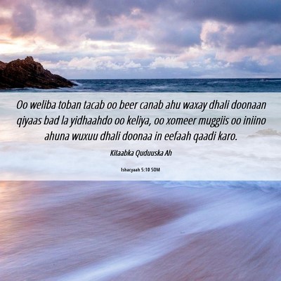 Picture 06 - Ishacyaah 5:10 SOM - Oo weliba toban tacab oo beer canab ahu waxay - Bible Verse Picture