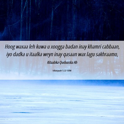 Picture 06 - Ishacyaah 5:22 SOM - Hoog waxaa leh kuwa u xoogga badan inay khamri - Bible Verse Picture