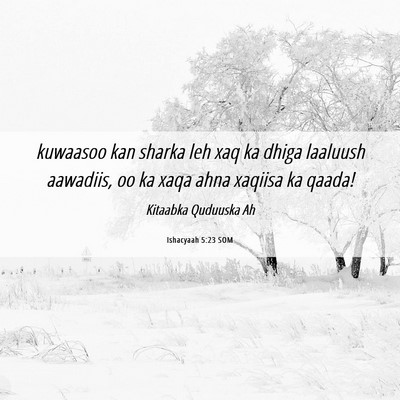 Picture 06 - Ishacyaah 5:23 SOM - kuwaasoo kan sharka leh xaq ka dhiga laaluush - Bible Verse Picture