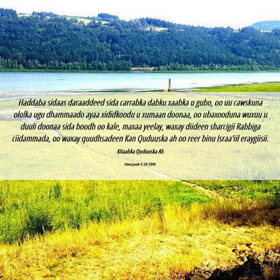 Picture 06 - Ishacyaah 5:24 SOM - Haddaba sidaas daraaddeed sida carrabka dabku - Bible Verse Picture