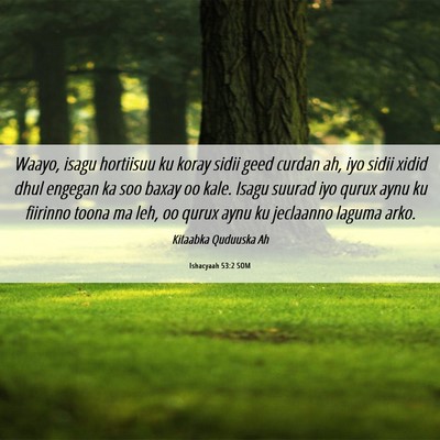 Picture 06 - Ishacyaah 53:2 SOM - Waayo, isagu hortiisuu ku koray sidii geed curdan - Bible Verse Picture