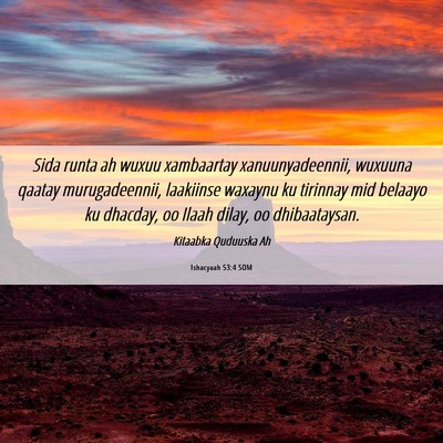 Picture 06 - Ishacyaah 53:4 SOM - Sida runta ah wuxuu xambaartay xanuunyadeennii, - Bible Verse Picture