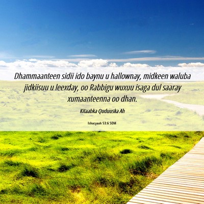 Picture 06 - Ishacyaah 53:6 SOM - Dhammaanteen sidii ido baynu u hallownay, midkeen - Bible Verse Picture