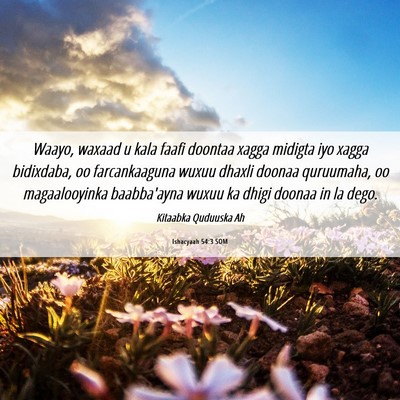 Picture 06 - Ishacyaah 54:3 SOM - Waayo, waxaad u kala faafi doontaa xagga midigta - Bible Verse Picture